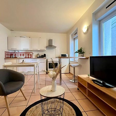 Le Studio Theolier Downtown - Close To Pedestrian Street Турнон-сюр-Рон Экстерьер фото