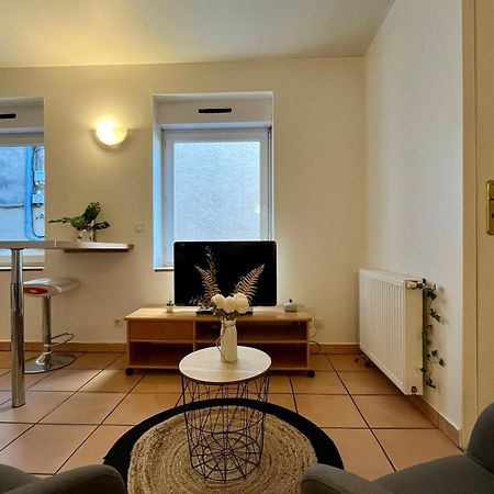 Le Studio Theolier Downtown - Close To Pedestrian Street Турнон-сюр-Рон Экстерьер фото
