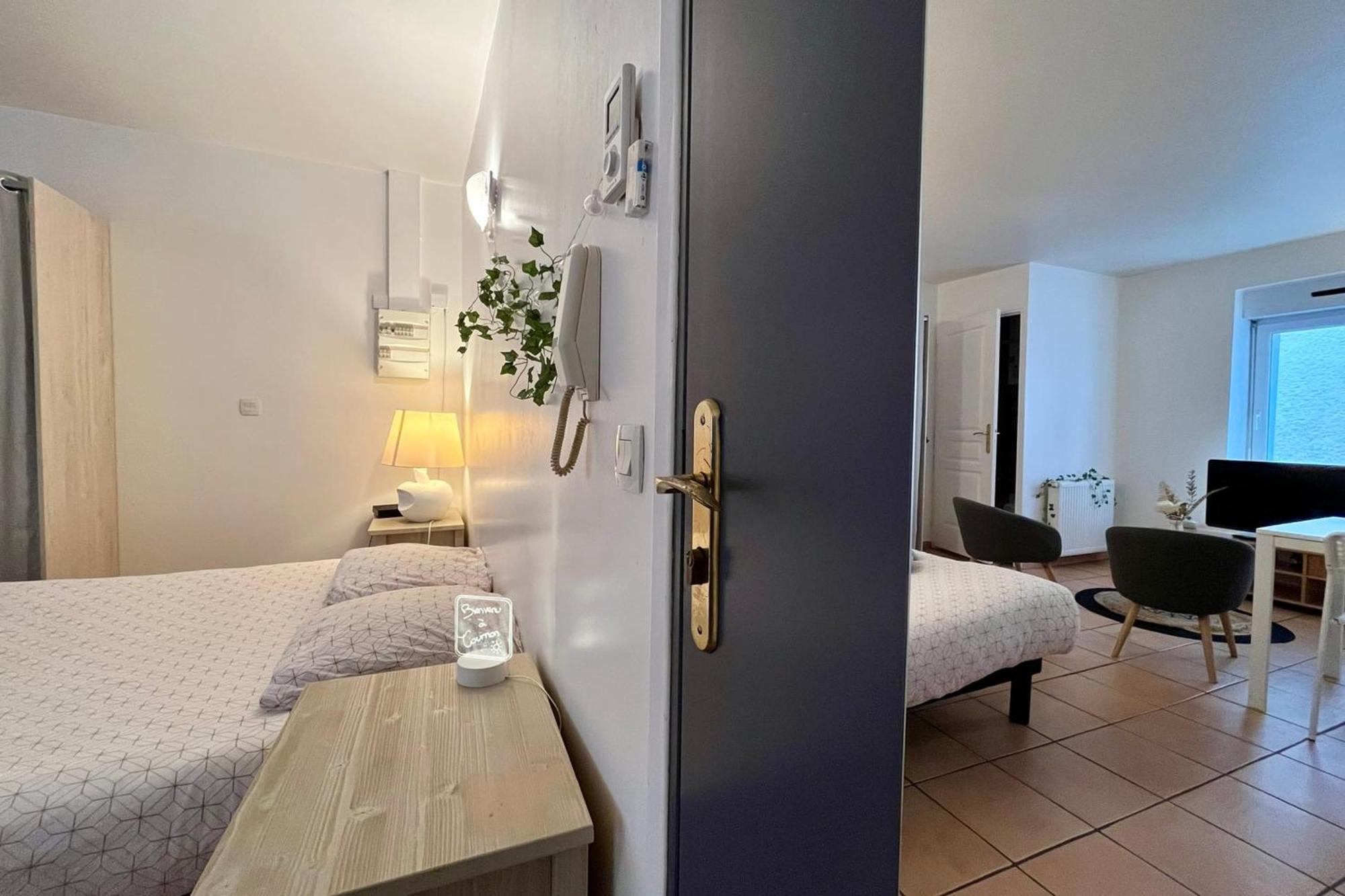 Le Studio Theolier Downtown - Close To Pedestrian Street Турнон-сюр-Рон Экстерьер фото