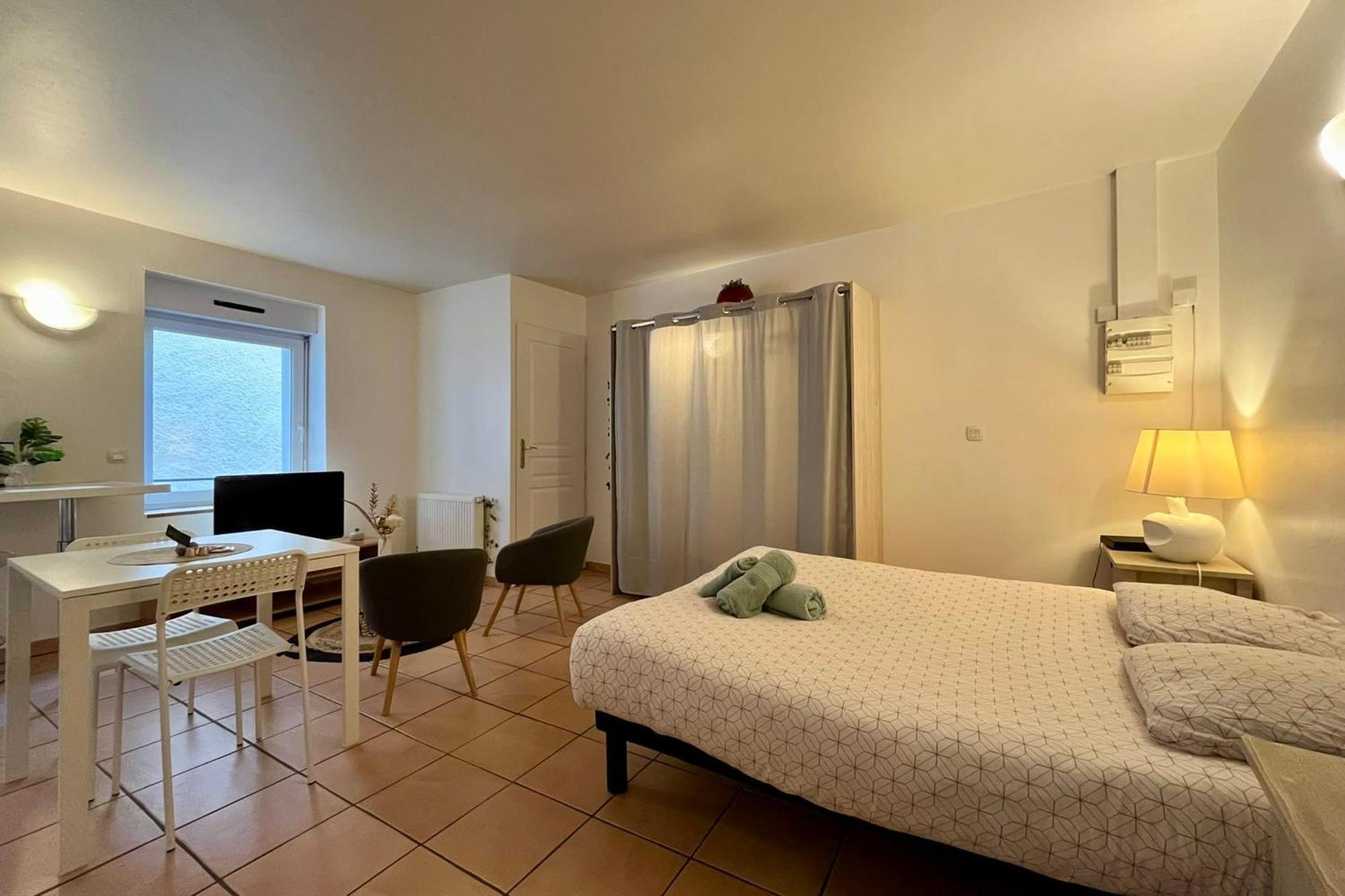Le Studio Theolier Downtown - Close To Pedestrian Street Турнон-сюр-Рон Экстерьер фото
